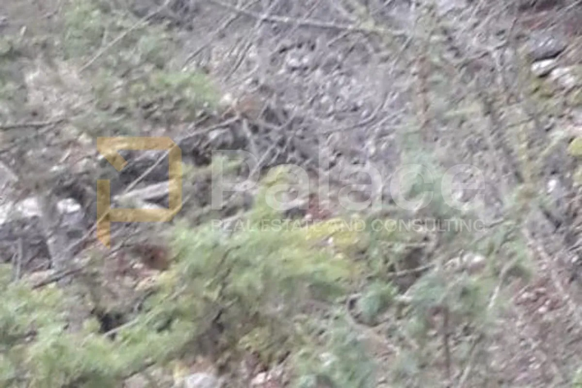 poljoprivredno zemljište, vrisnik na hvaru, 24000m² - slika 17