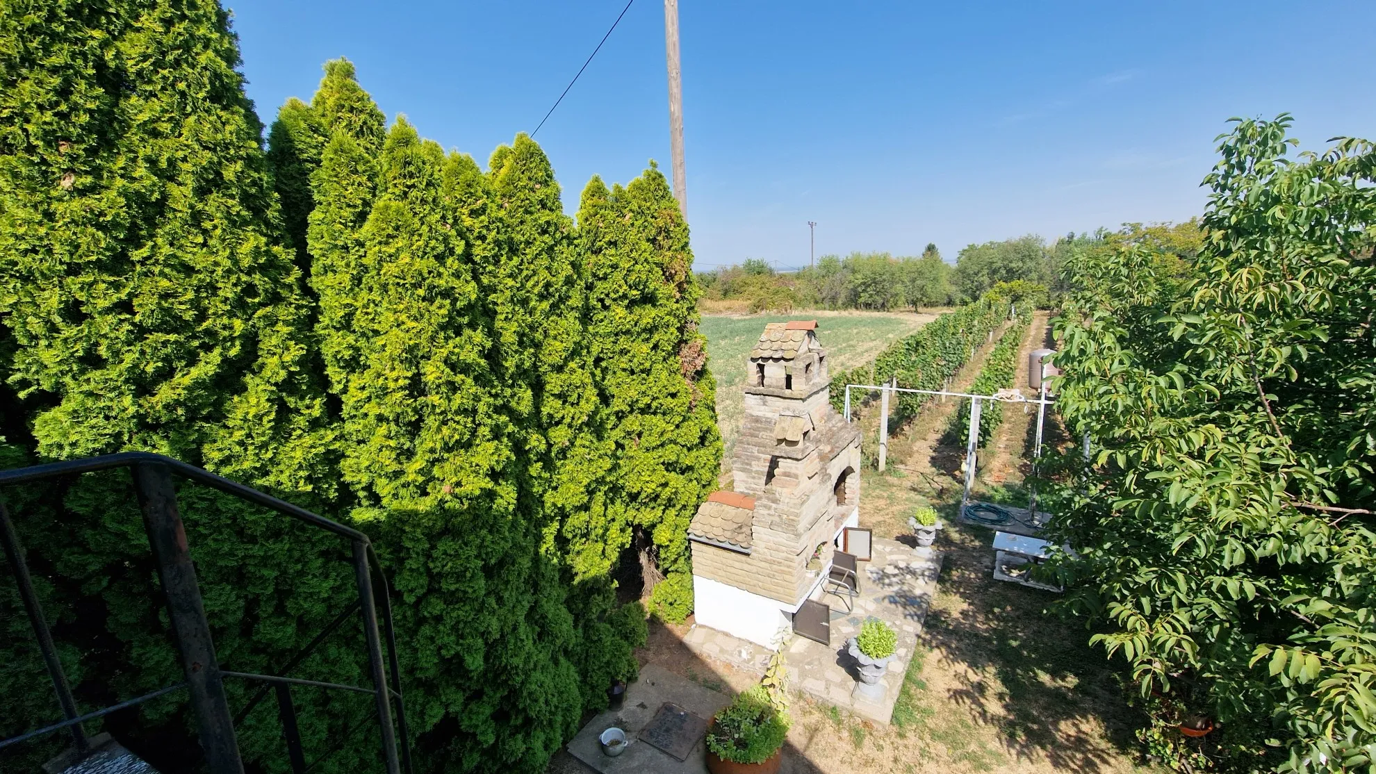 prodaja vikendice s vinogradom dalj planina - slika 8