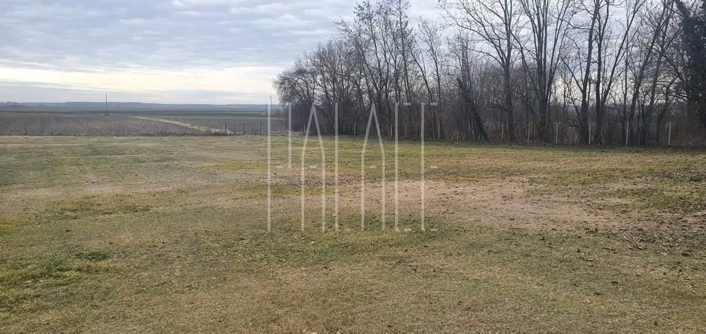 prodaja imanja novi bolman 85000 m2 (kuća s okućnicom i voćnjak) - slika 10