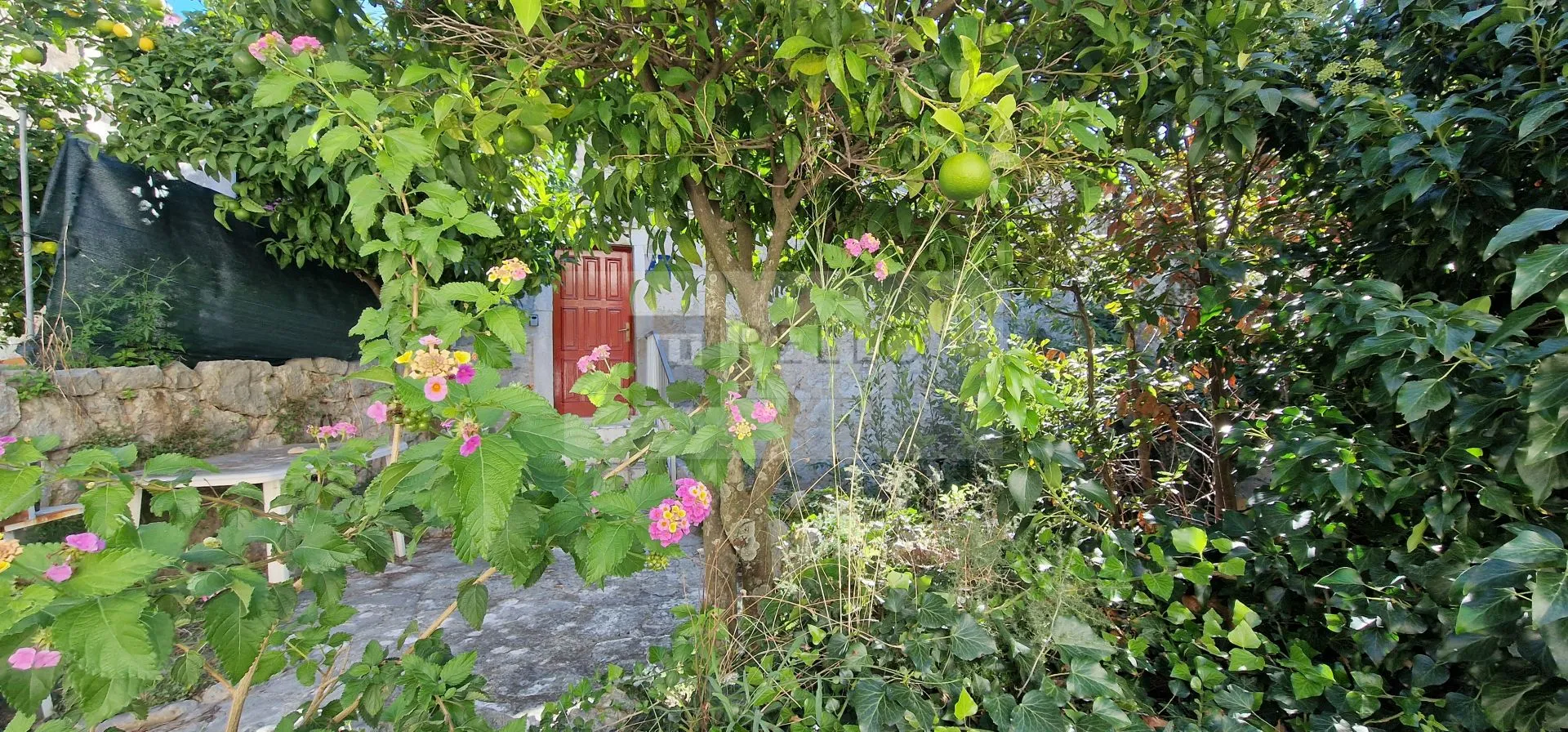 Kamena kuća u Vignju - Viganj, Orebić