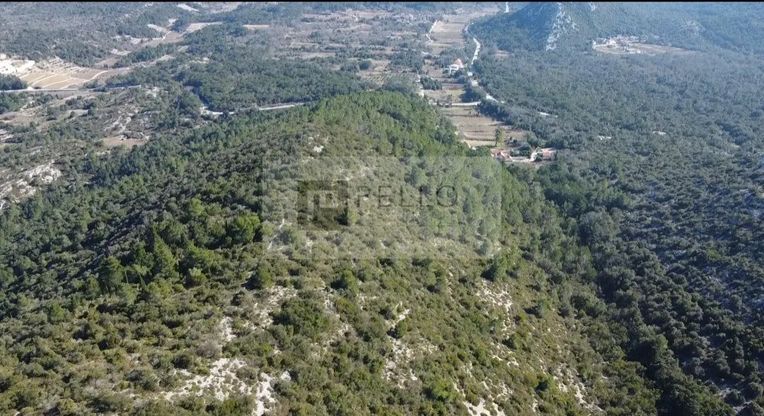 atraktivna pozicija s mogućnošću gradnje(villa,vinarija...) - slika 2