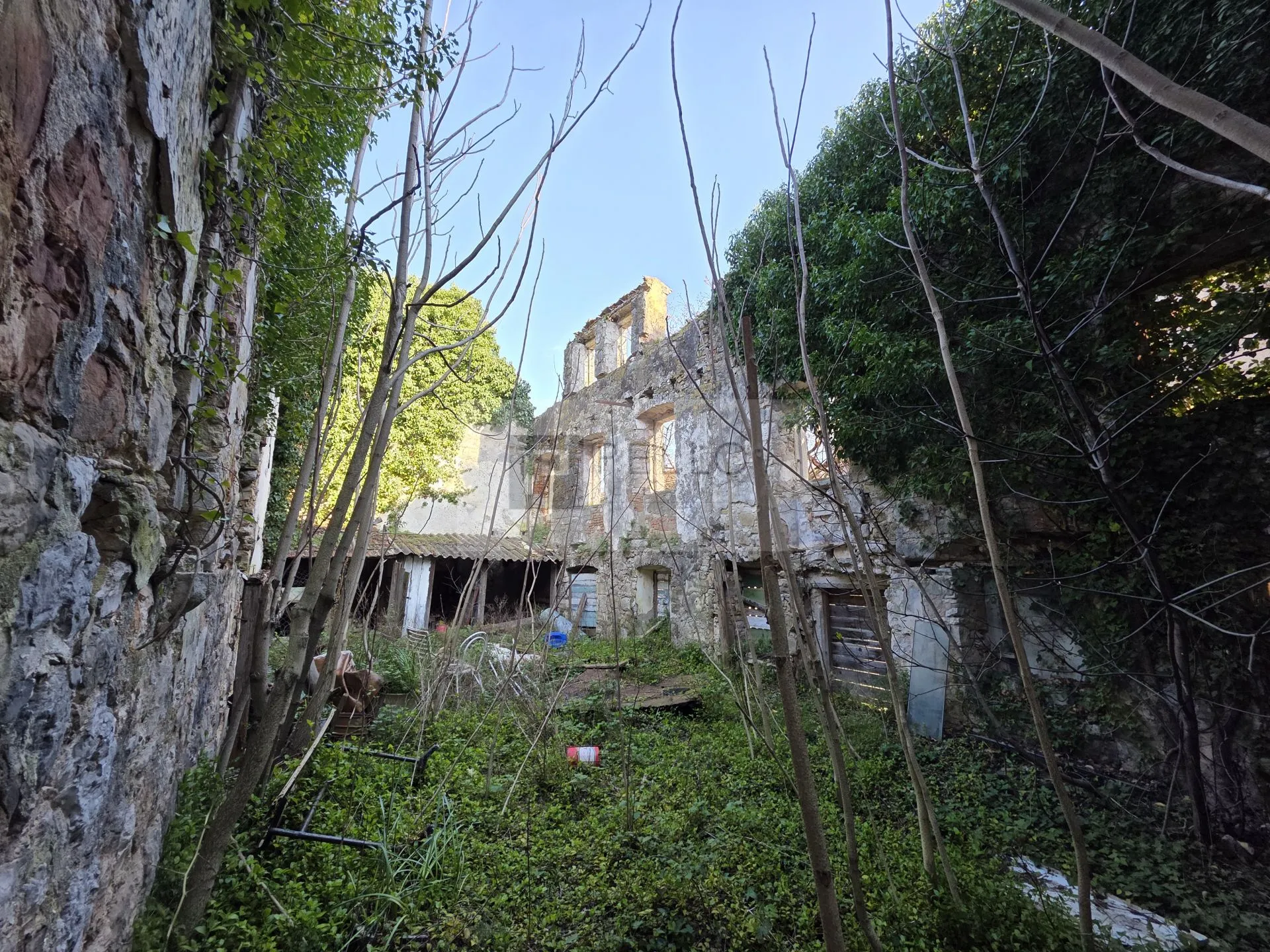 kamena kuća za rekonstrukciju s okućnicom – pelješac, stanković - slika 8