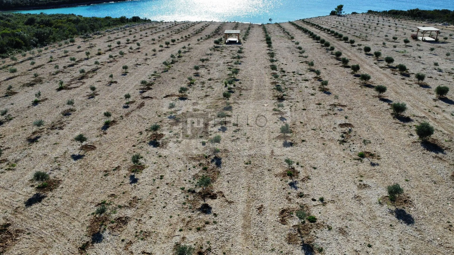ekskluzivna prodaja – eko imanje 3 ha, prvi red do mora, lovište-pelješac - slika 4