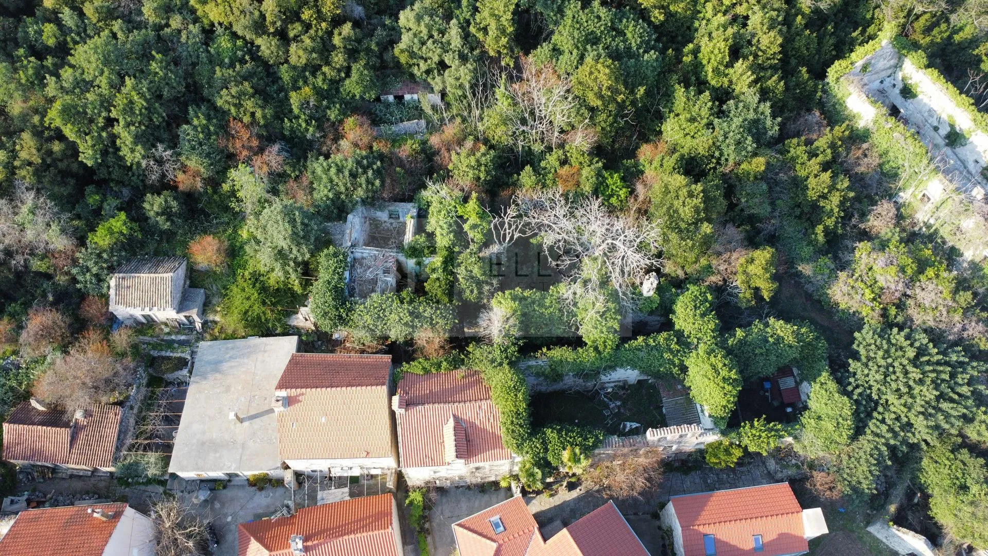 kamena kuća za rekonstrukciju s okućnicom – pelješac, stanković - slika 16