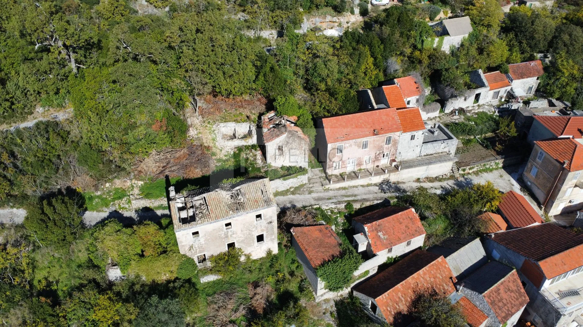 autentična nekretnina na pelješcu: dvije kuće s okućnicom i pogledom - slika 2
