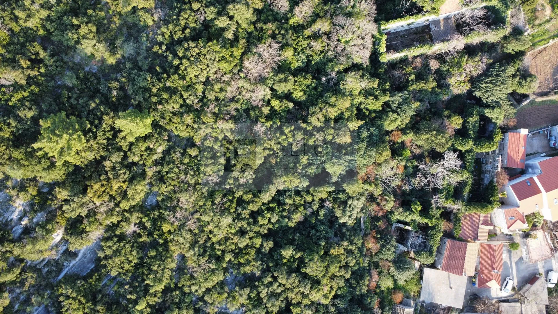 kamena kuća za rekonstrukciju s okućnicom – pelješac, stanković - slika 17