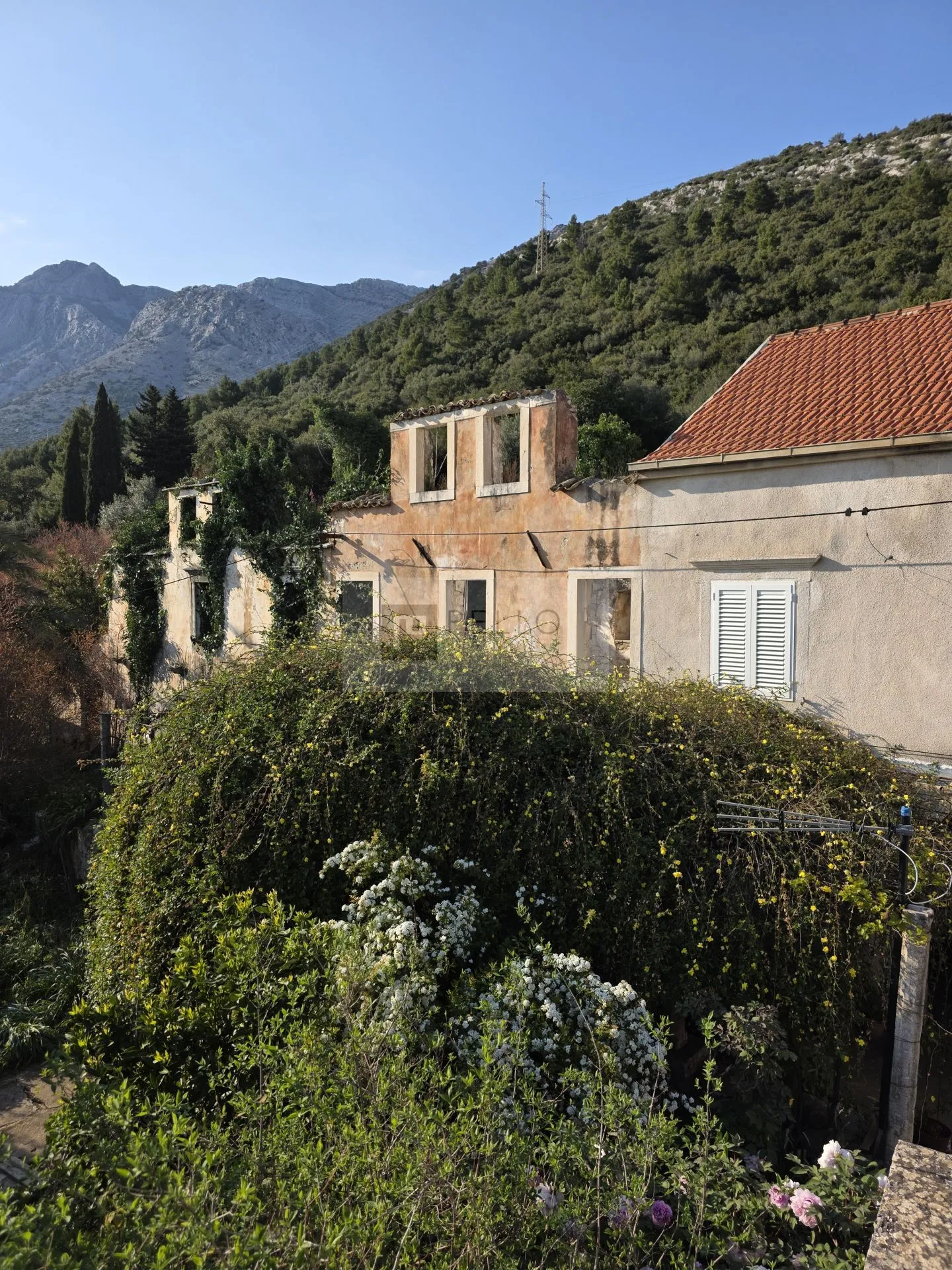 kamena kuća za rekonstrukciju s okućnicom – pelješac, stanković - slika 10