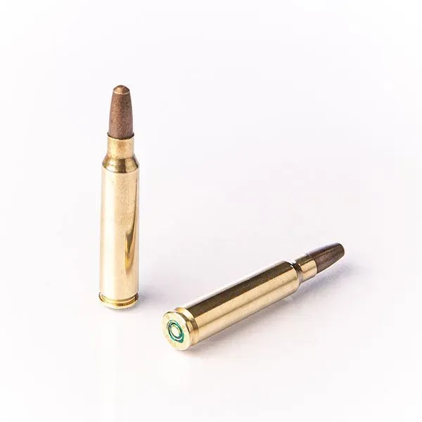 Karabinsko streljivo FIOCCHI 223 Rem. ZP FRG 2,9g / 45gr - Poreč