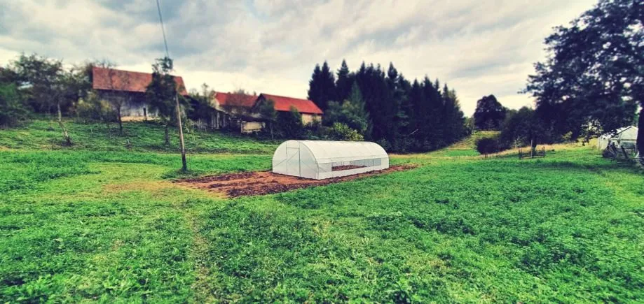 plastenik - 4,5m širine - slika 14