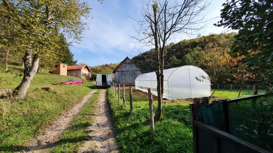 plastenik - 4m širine - slika 7