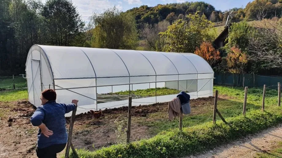 plastenik - 4m širine - slika 13
