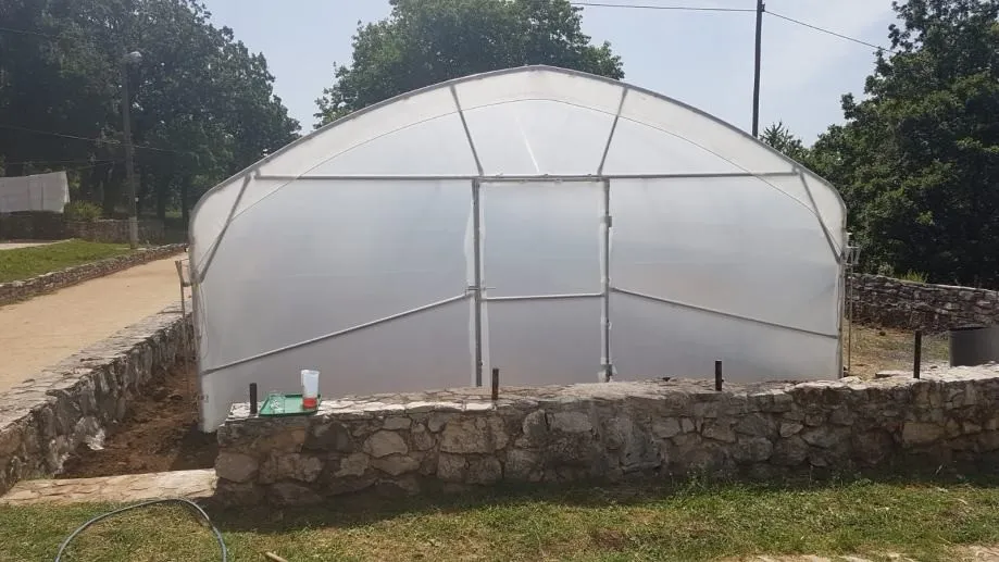plastenik - 6m širine - slika 12