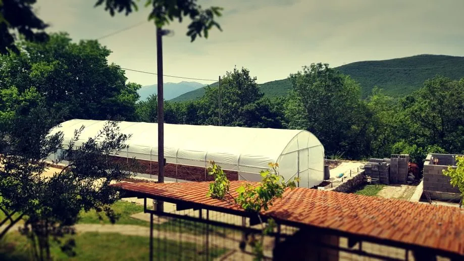 plastenik - 6m širine - slika 13