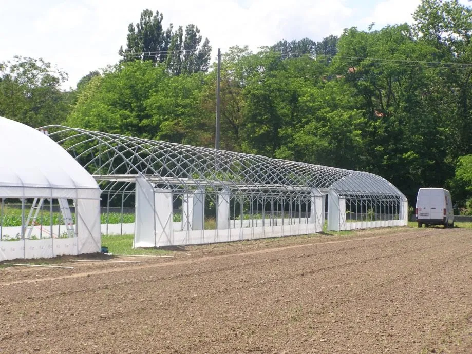 plastenik - 6m širine - slika 8