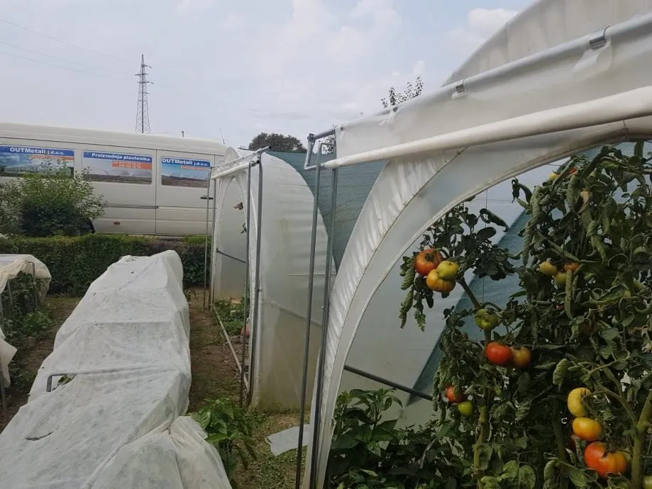plastenik tunel 4 m širine sa rolo vratima - slika 2