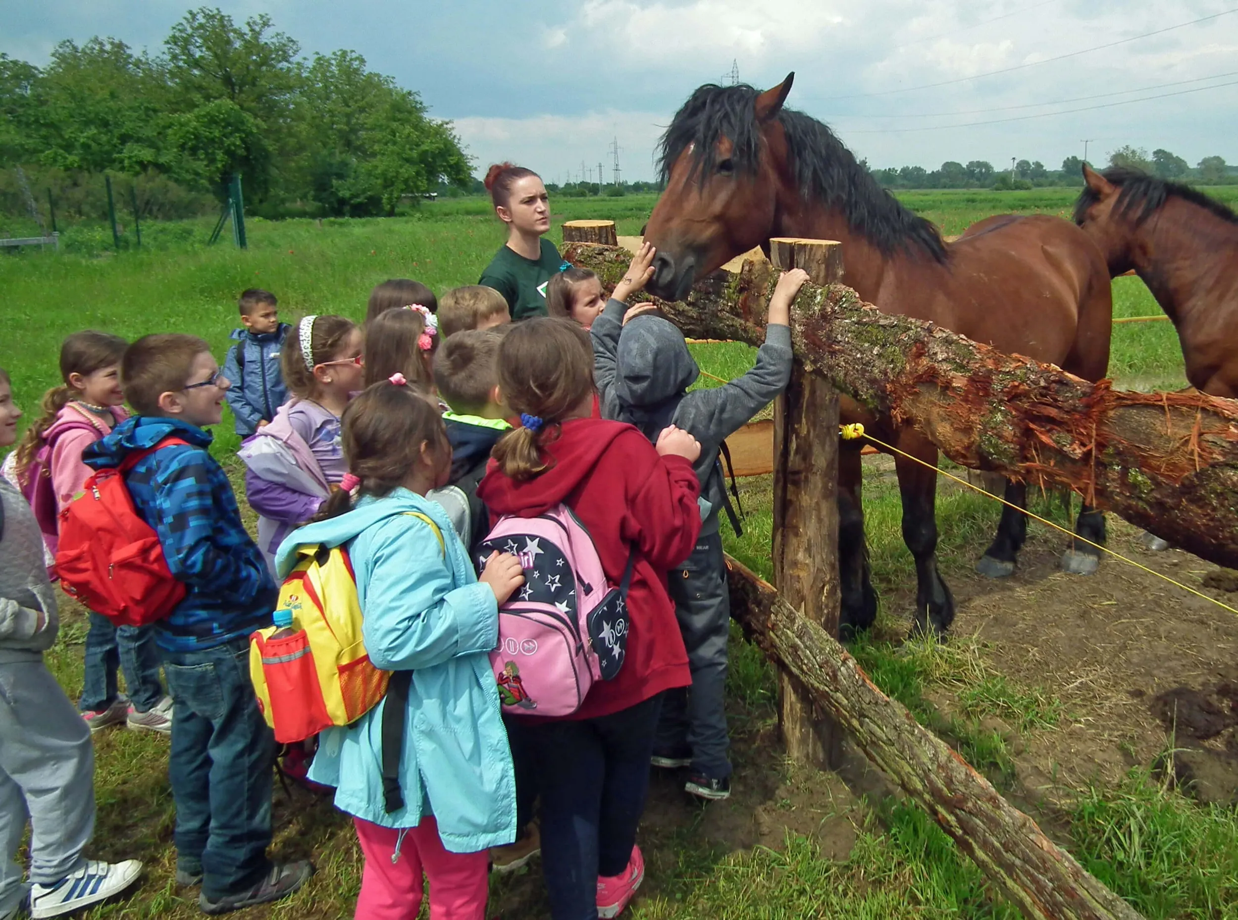 Lonjsko polje - Edukativni programi za djecu - Krapje, Jasenovac