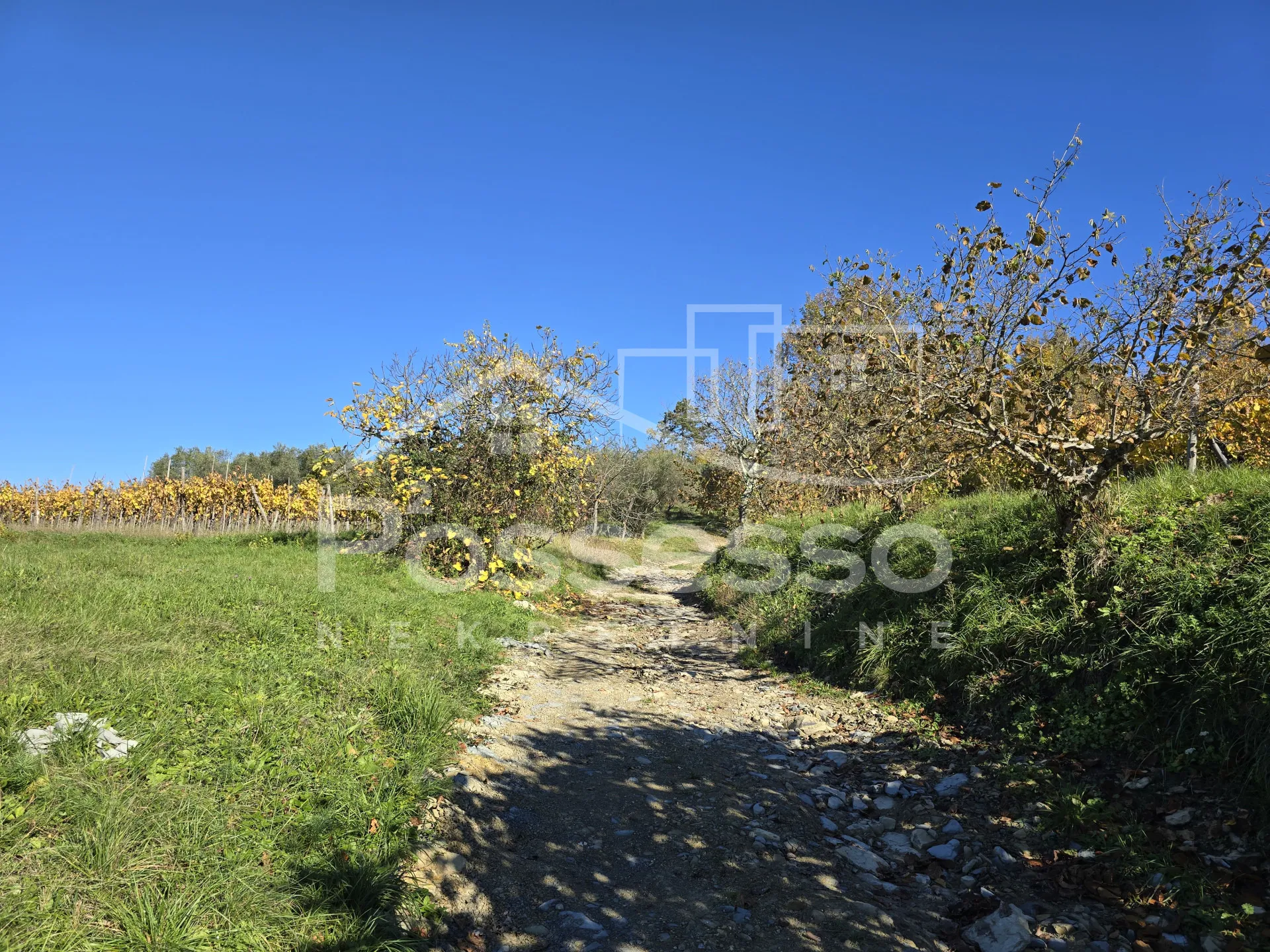 zemljište prodaja buzet 572 m2 - slika 15