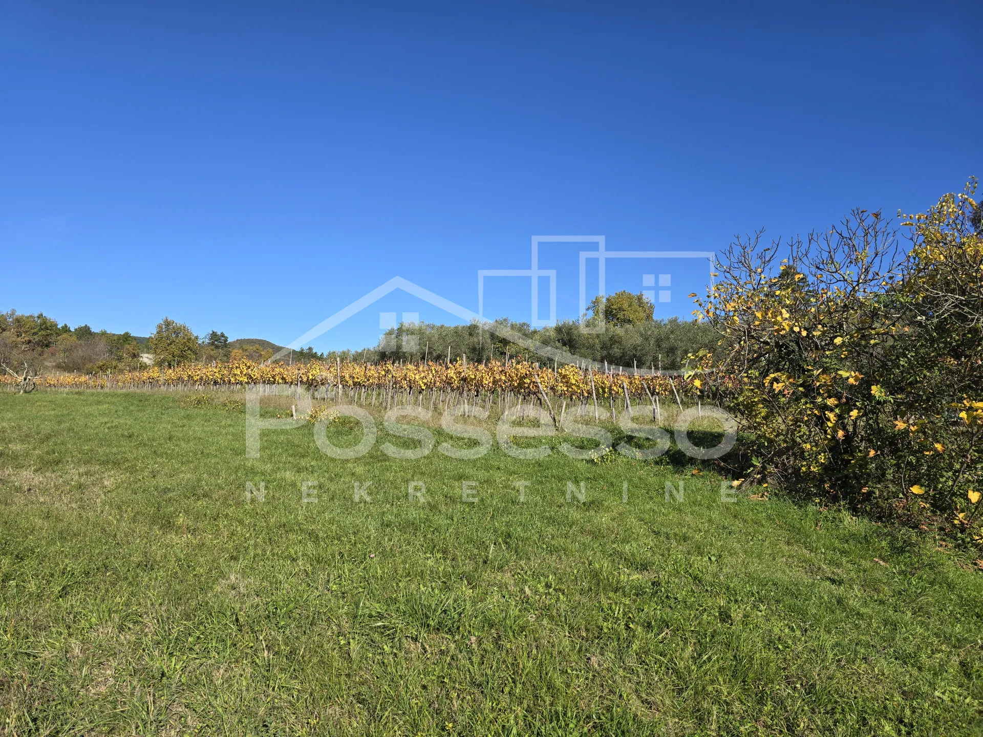 zemljište prodaja buzet 572 m2 - slika 8