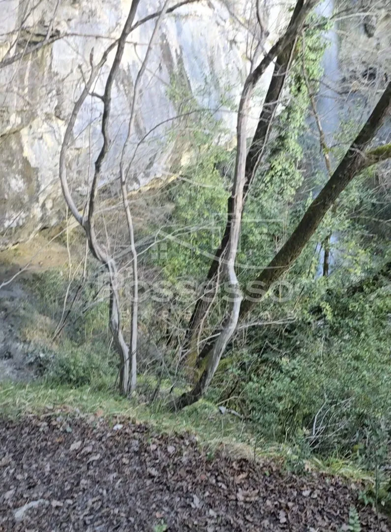 zemljište prodaja buzet 363 m2 - slika 12