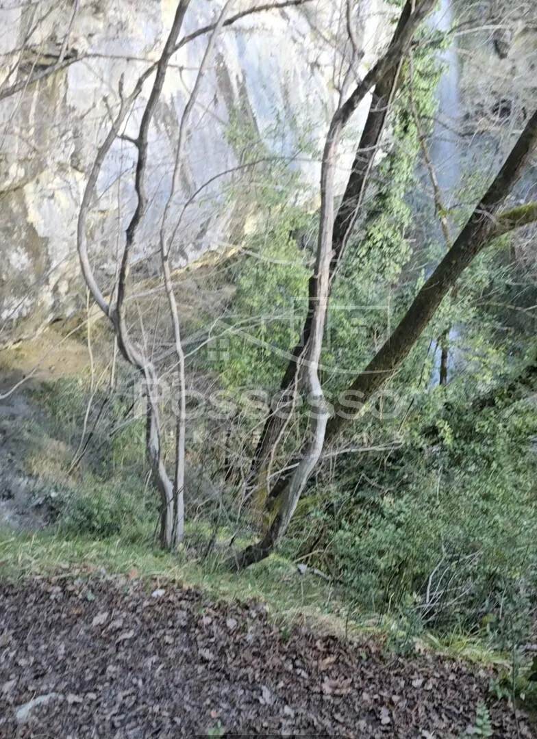 zemljište prodaja buzet 363 m2 - slika 9