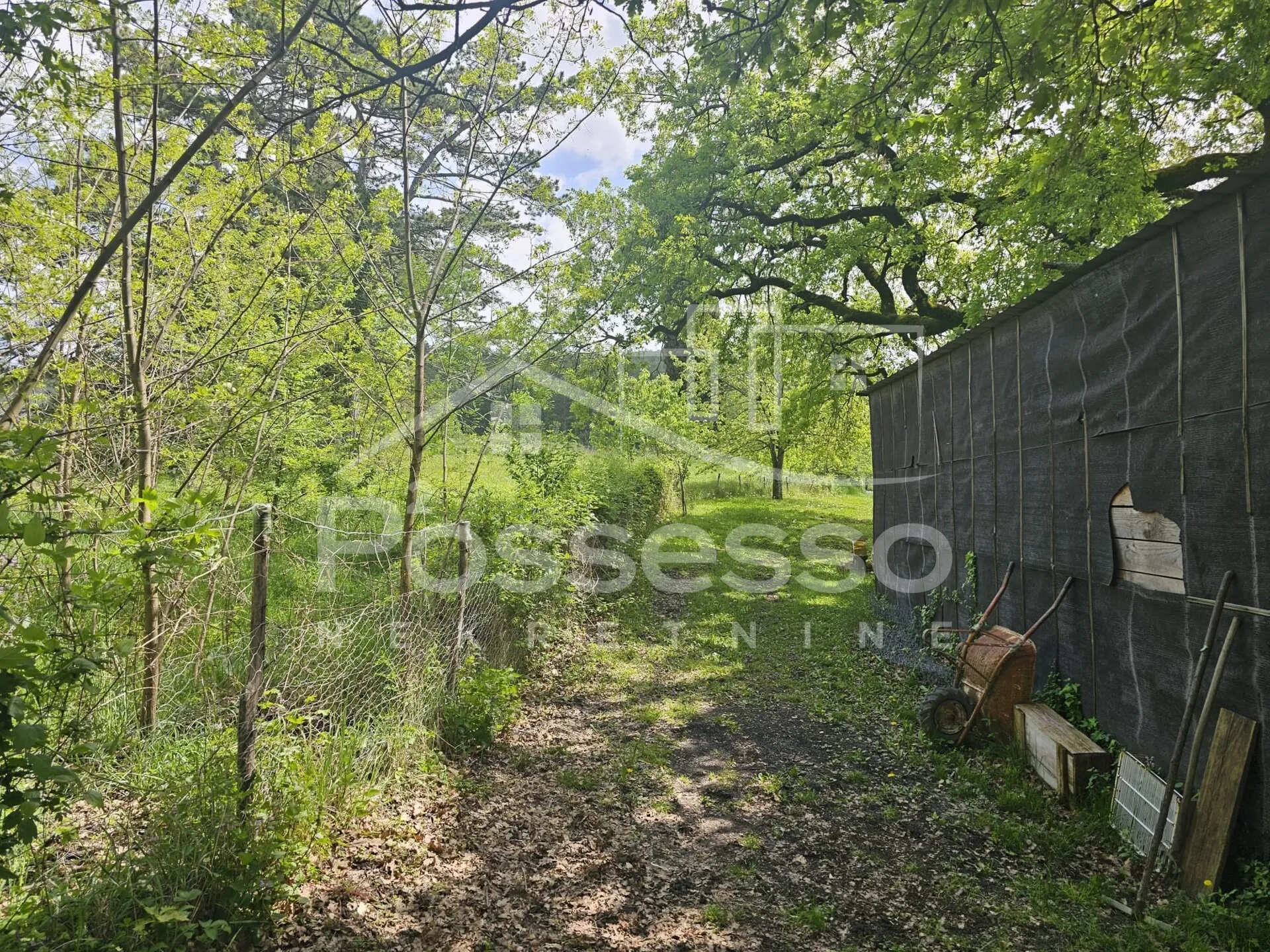 kuća prodaja motovun 280 m2 - slika 3