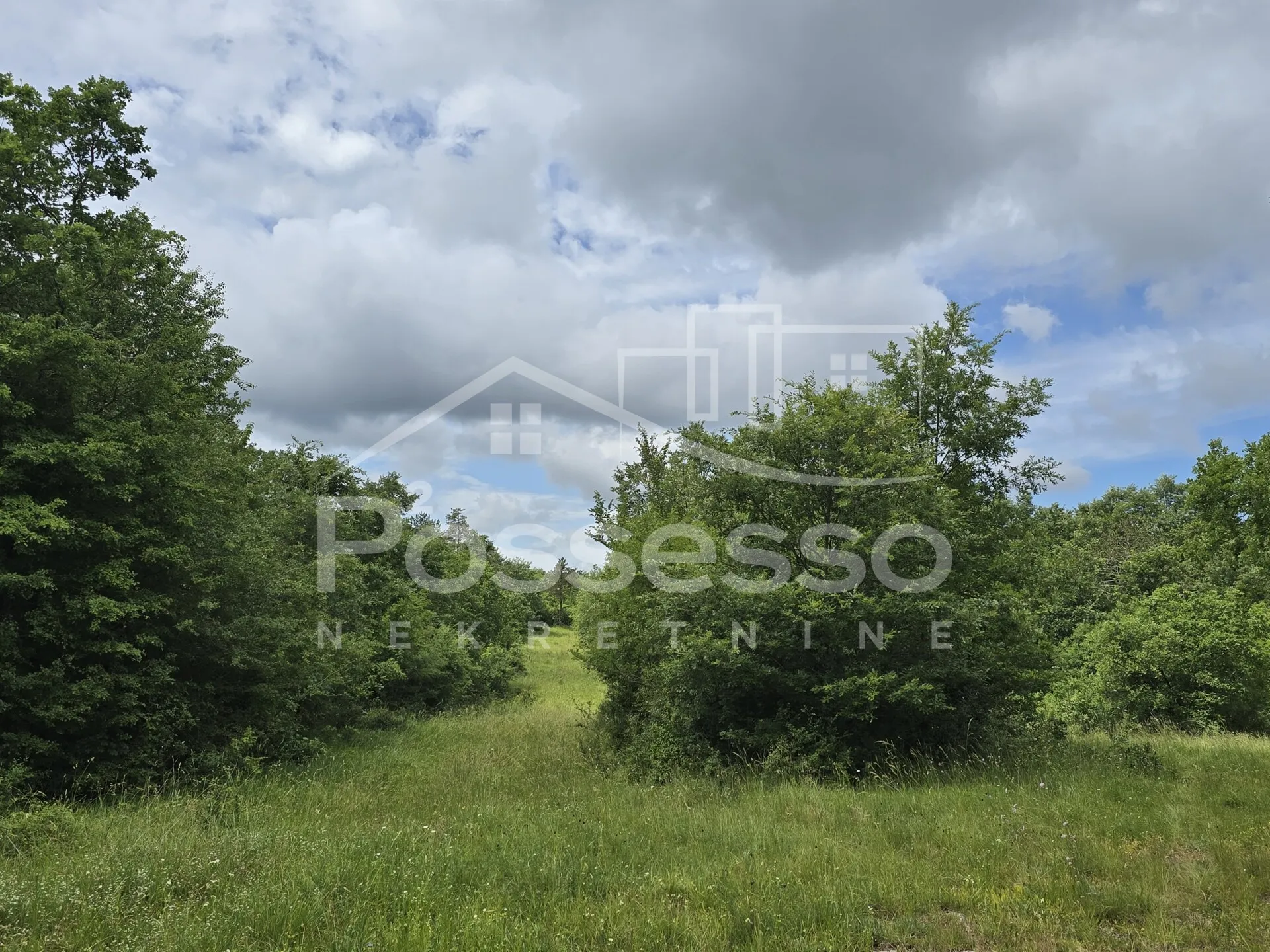 zemljište prodaja roč 11195 m2 - slika 6