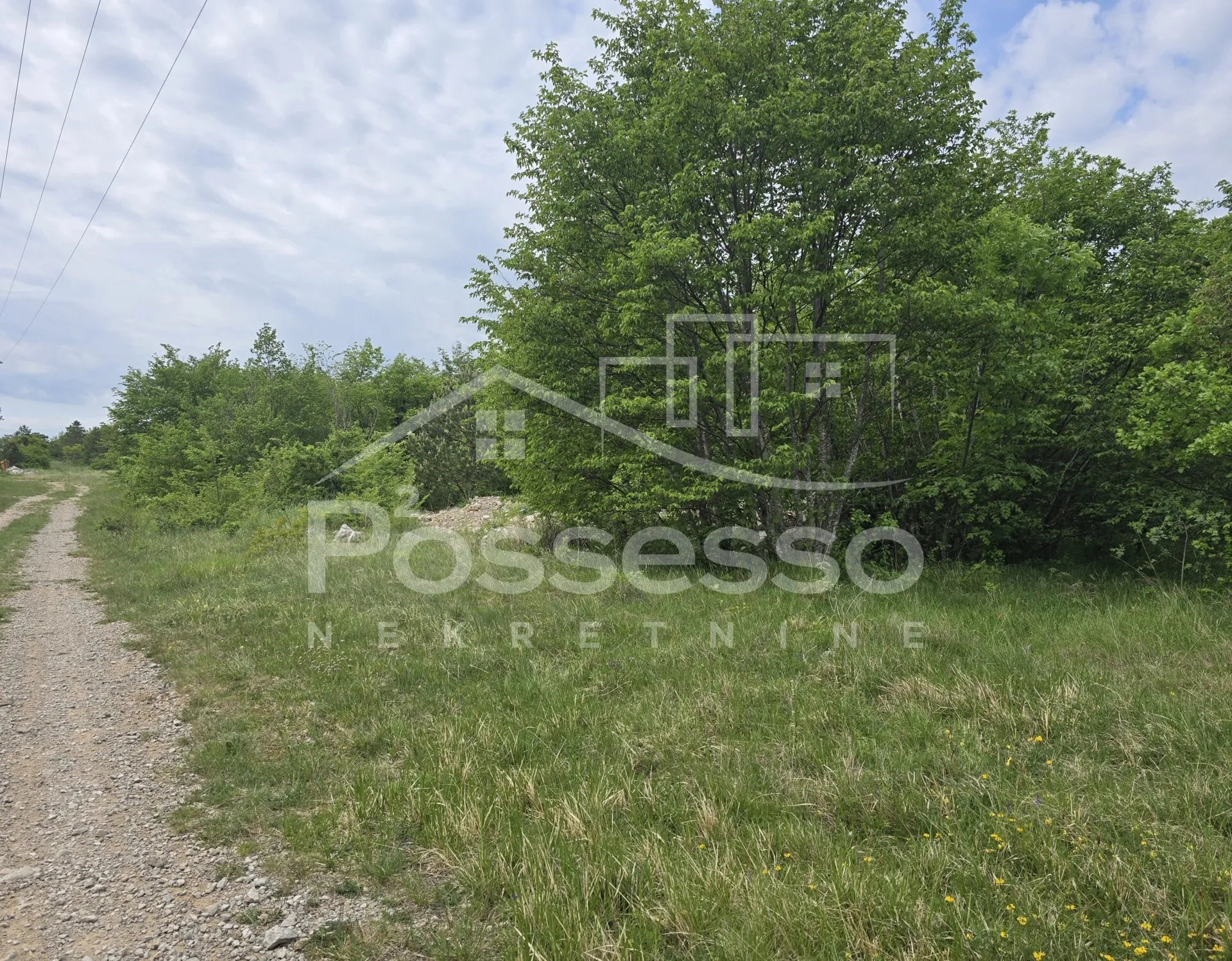 zemljište prodaja lupoglav 27000 m2 - slika 4