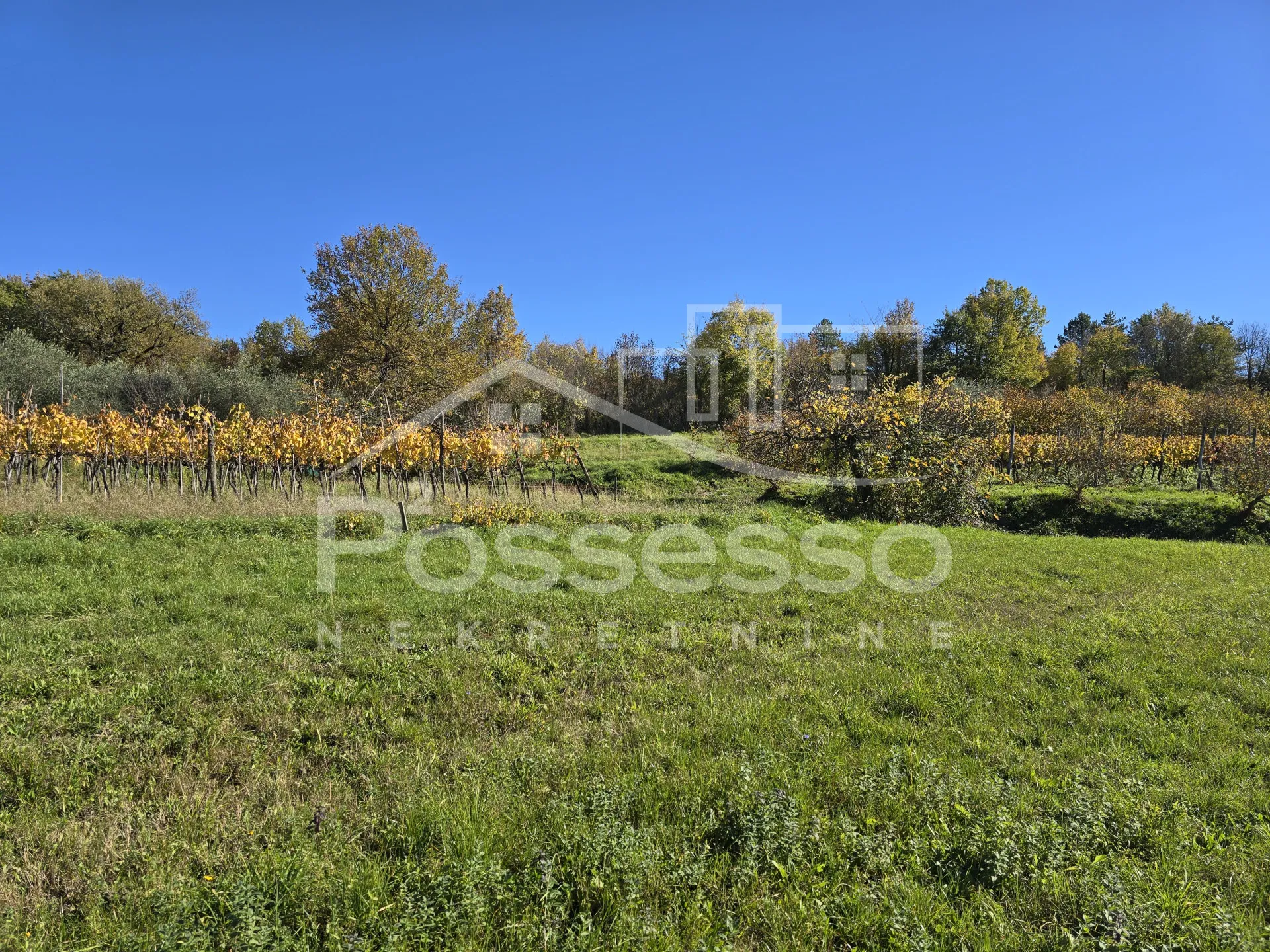 zemljište prodaja buzet 572 m2 - slika 12