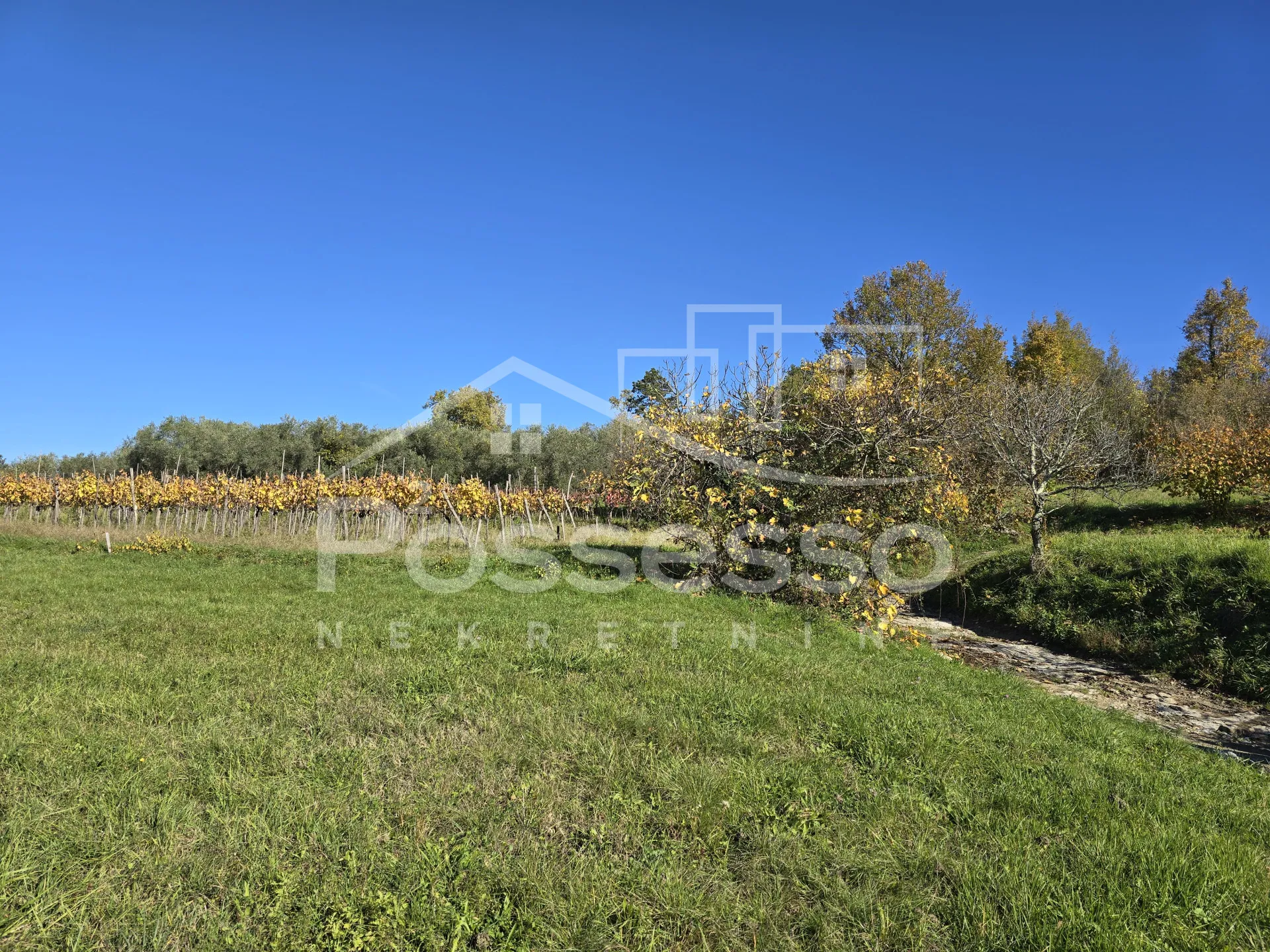 zemljište prodaja buzet 572 m2 - slika 5