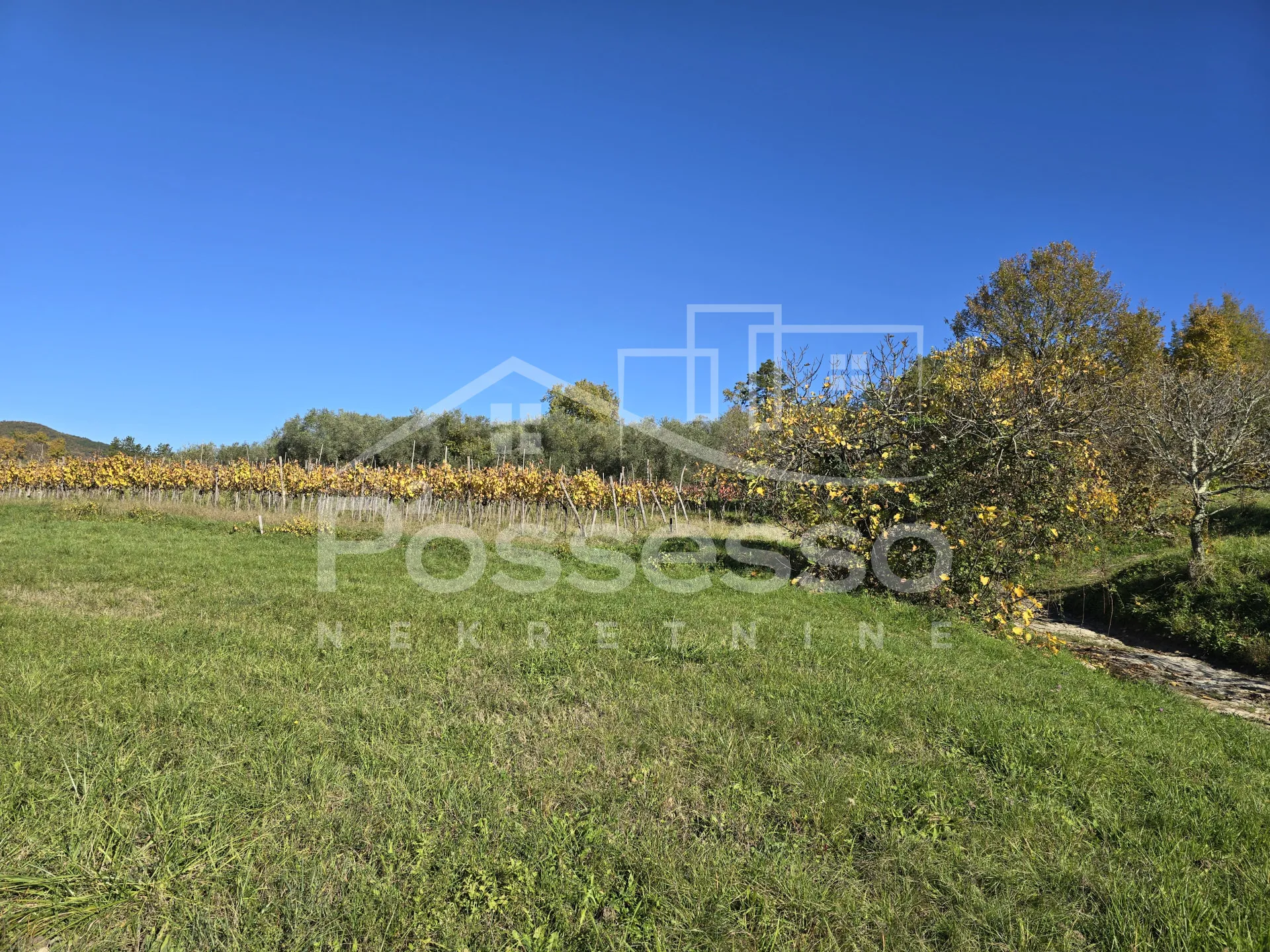 zemljište prodaja buzet 572 m2 - slika 3