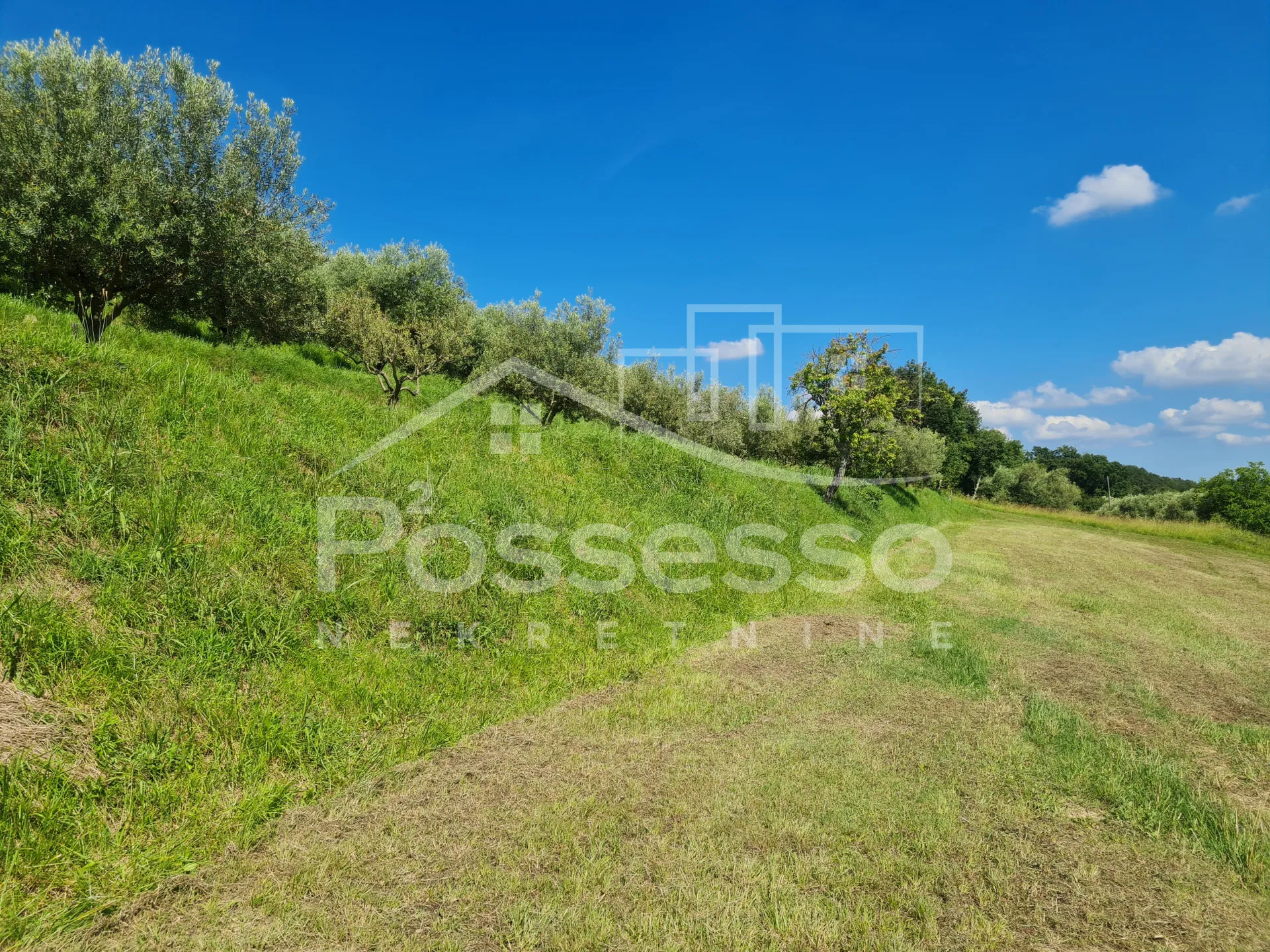 zemljište prodaja vrh 2744 m2 - slika 9
