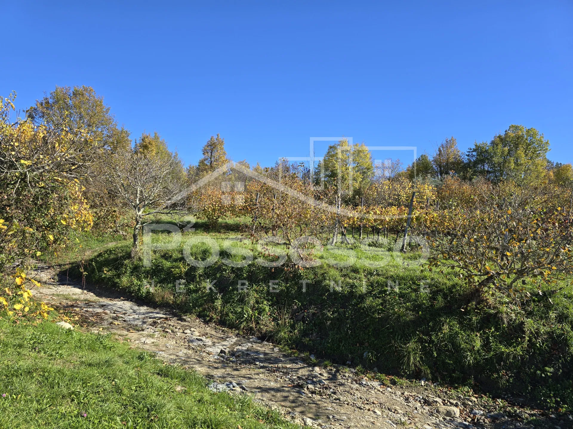zemljište prodaja buzet 572 m2 - slika 7