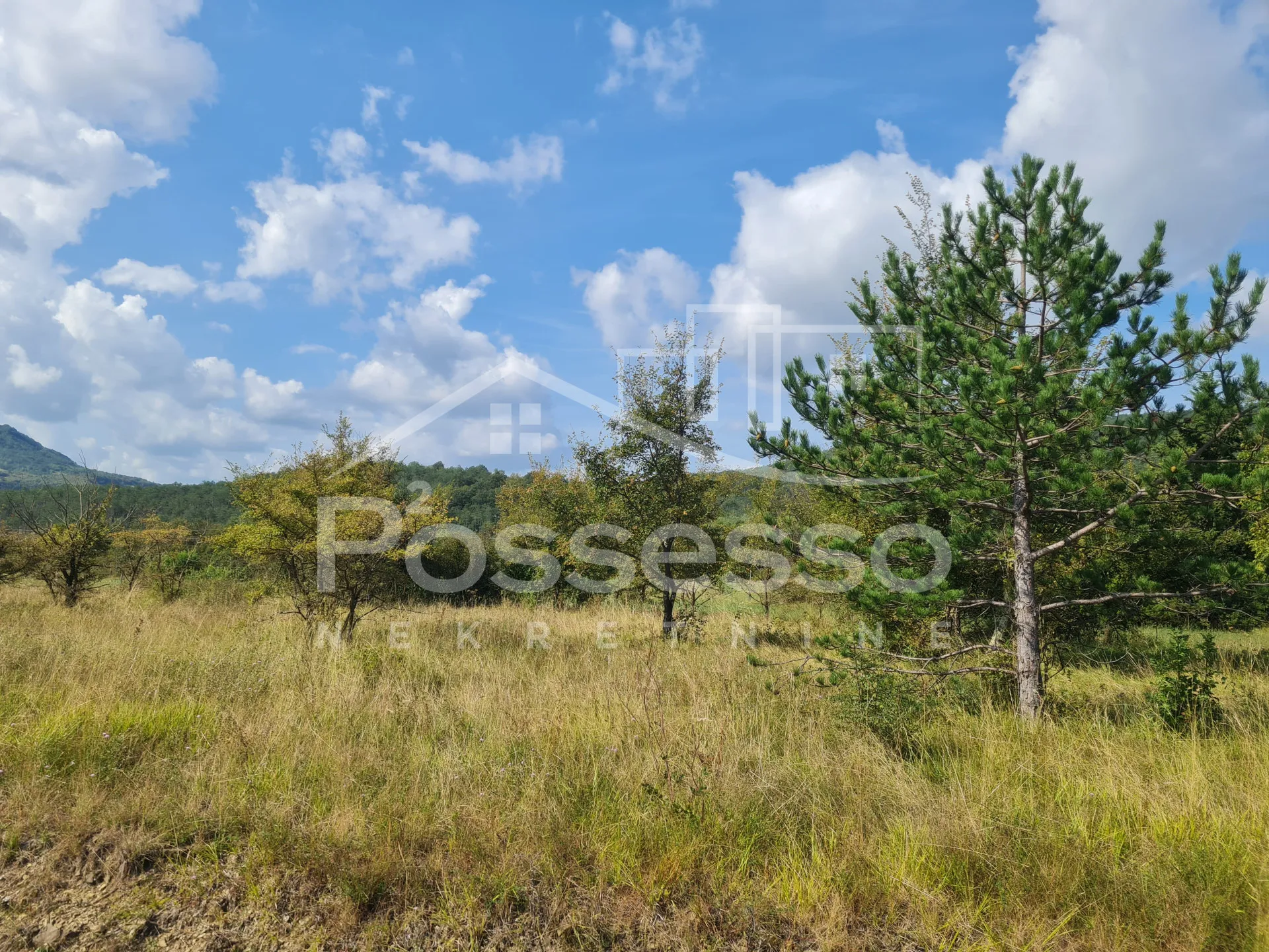 zemljište prodaja buzet 953 m2 - slika 3