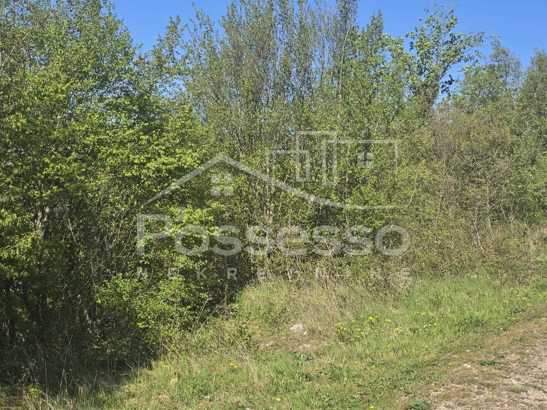 zemljište prodaja buzet 4835 m2 - slika 6