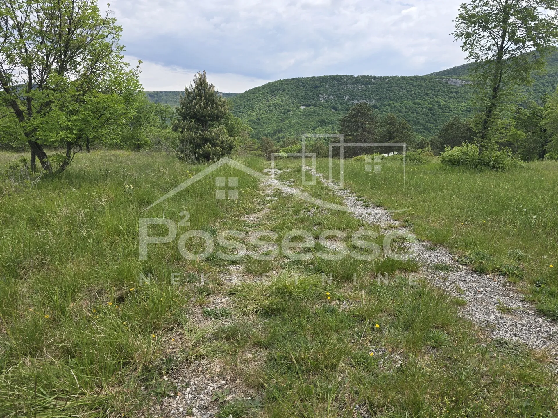 zemljište prodaja lupoglav 27000 m2 - slika 5