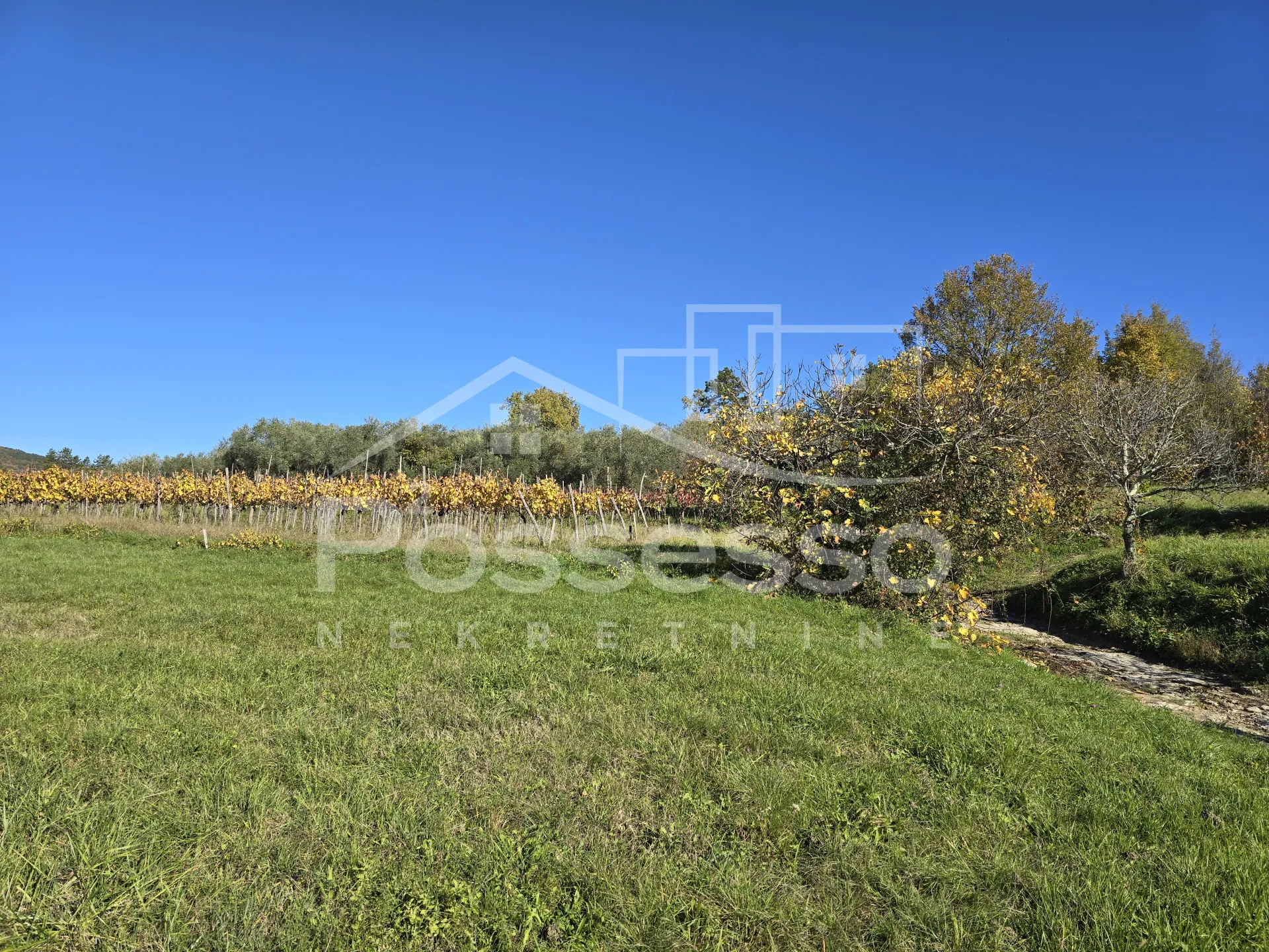zemljište prodaja buzet 572 m2 - slika 4