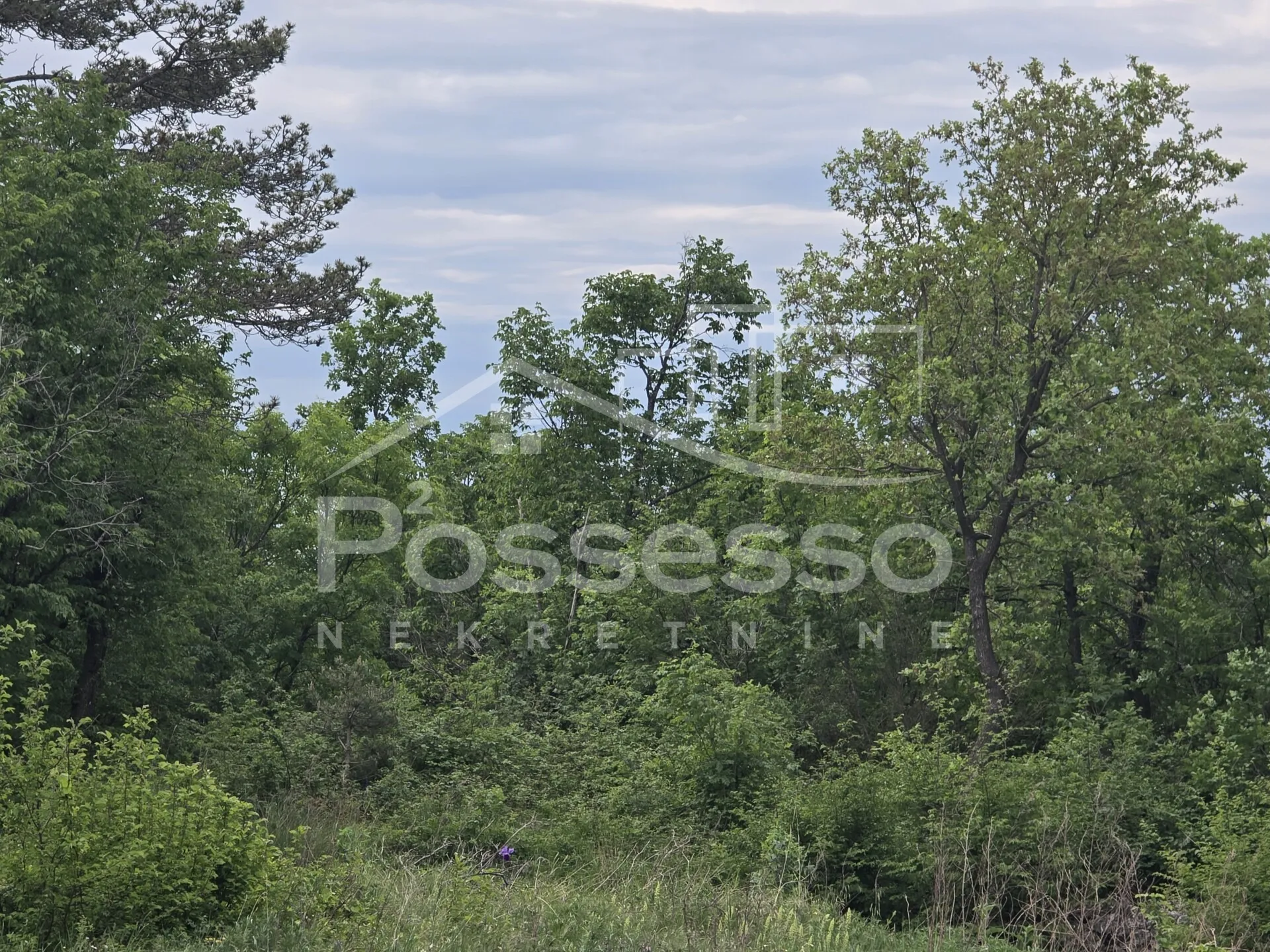 zemljište prodaja lupoglav 27000 m2 - slika 7