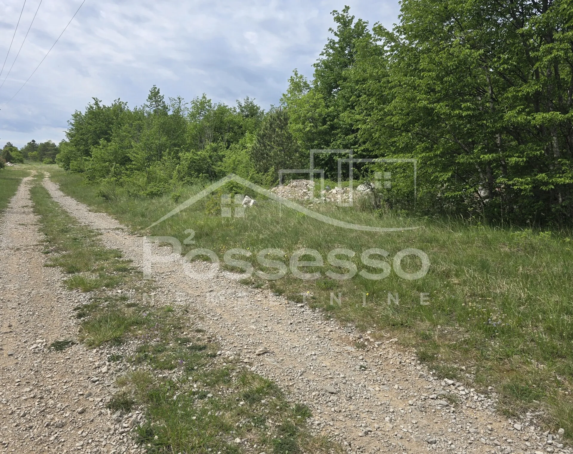 zemljište prodaja lupoglav 27000 m2 - slika 3