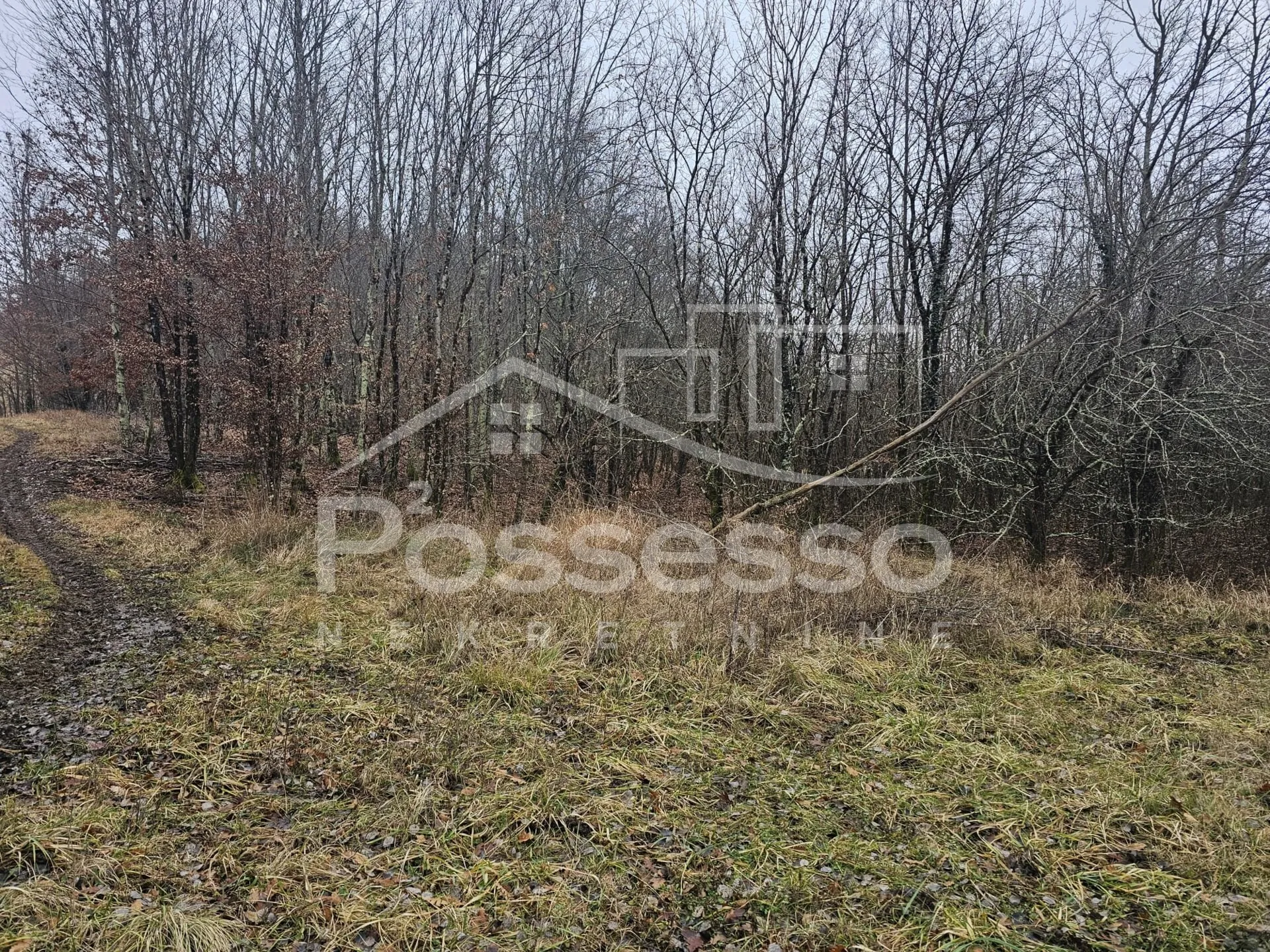zemljište prodaja kotli 1100 m2 - slika 9