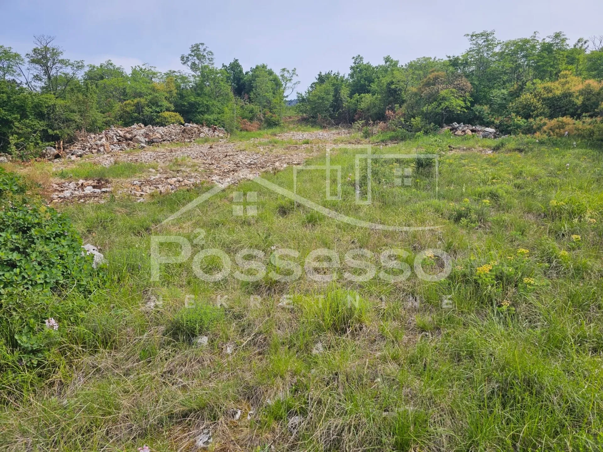 zemljište prodaja buzet 4835 m2 - slika 3