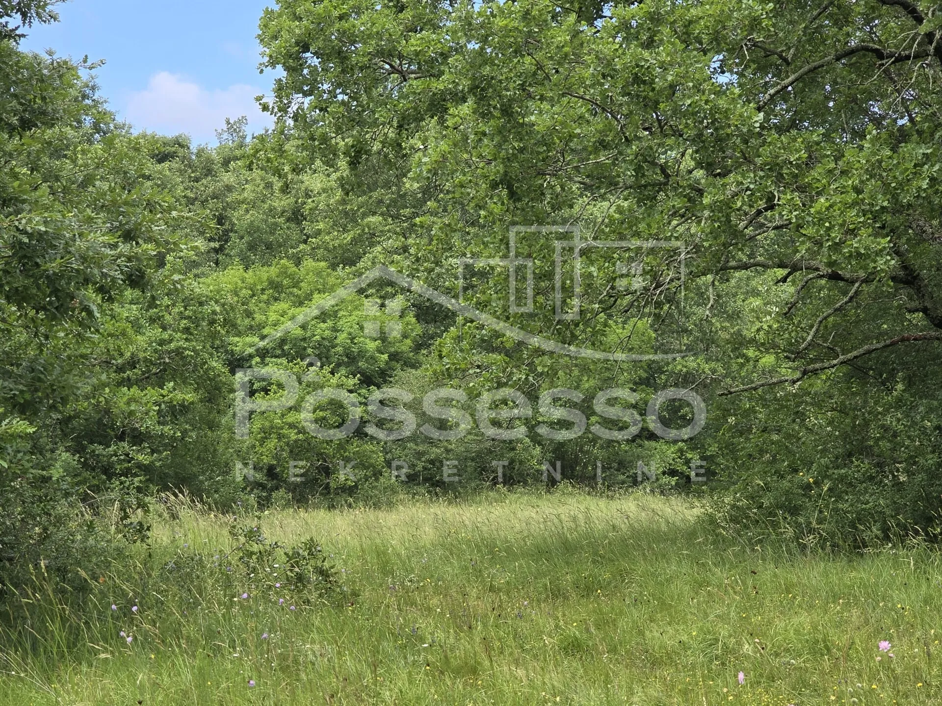 zemljište prodaja roč 11195 m2 - slika 2