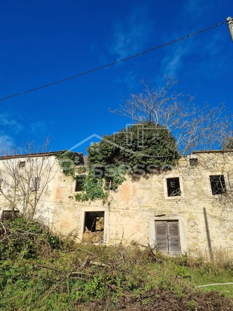 kuća prodaja grožnjan 160 m2 - slika 3