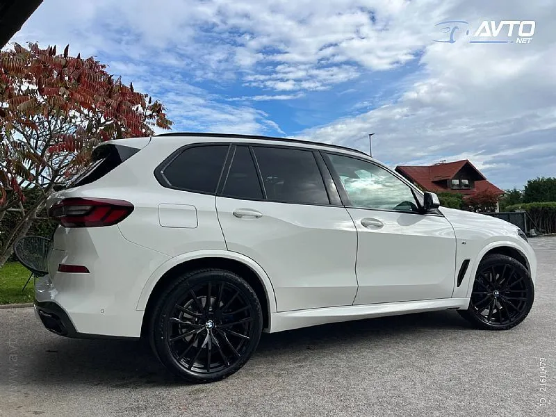 bmw serije x5: xdrive30d m sport-1 vlasnik-pano-22 inča-odlično - slika 5
