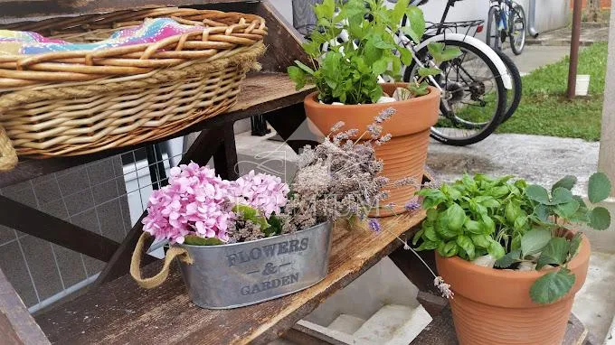 kuća sa tri apartmana, bazen, blizina mora, okućnica - slika 25