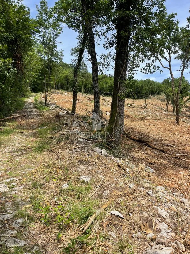 velika parcela sa predivnim pogledom, mirna lokacija, t-1 zona - slika 12
