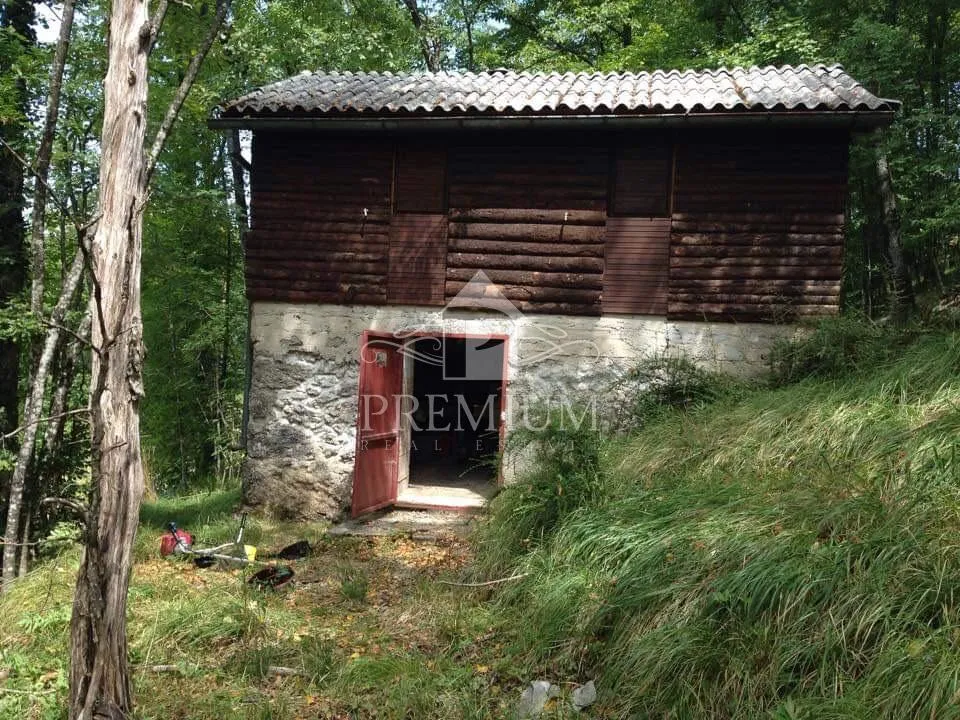 DRVENA LOVAČKA KUĆA SA TERENOM 8.971 m2, PRILIKA! - Rukavac, Matulji