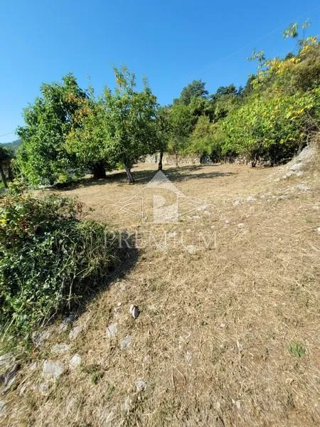 dvojna starina sa velikom okućnicom - slika 4