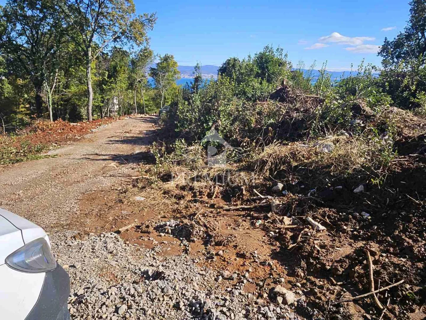 stara kamena ruševina sa okućnicom - slika 2