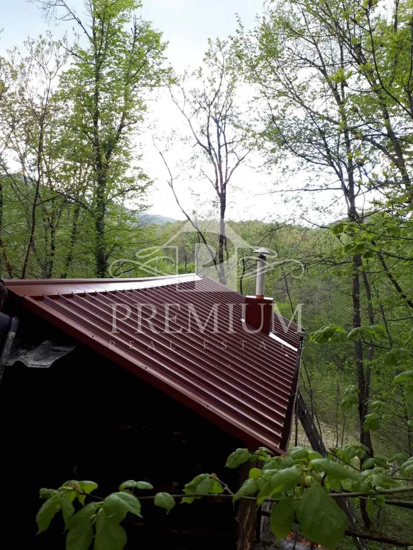 drvena lovačka kuća sa terenom 8.971 m2, prilika! - slika 4