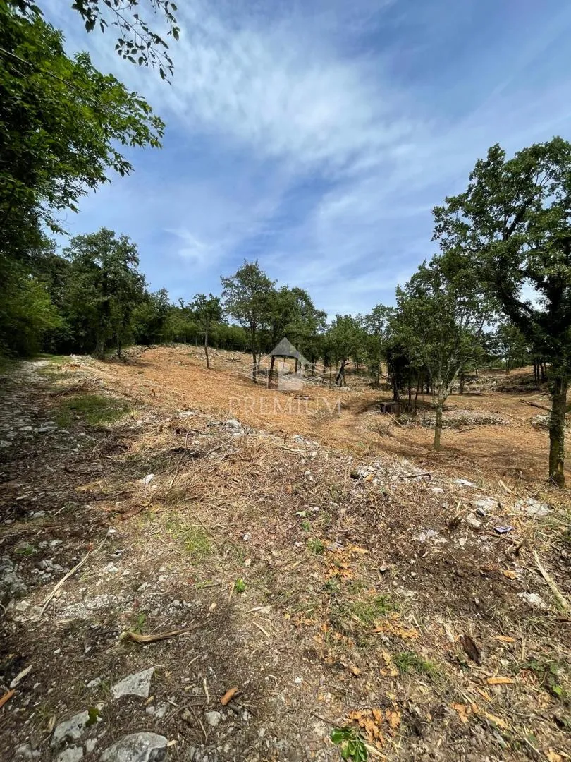 velika parcela sa predivnim pogledom, mirna lokacija, t-1 zona - slika 5